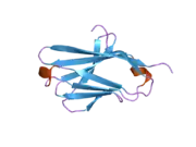 2frg: Structure of the immunoglobulin-like domain of human TLT-1