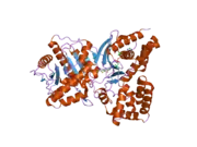 2fy5: Structures of ligand bound human choline acetyltransferase provide insight into regulation of acetylcholine synthesis