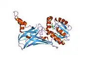 2fyt: Human HMT1 hnRNP methyltransferase-like 3 (S. cerevisiae) protein
