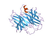 2g3x: Crystal structure of Transthyretin mutant I84S at acidic pH