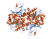 2g95: Crystal Structure of Visfatin/Pre-B Cell Colony Enhancing Factor 1/Nicotinamide Phosphoribosyltransferase