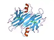 2g9k: Human Transthyretin (TTR) Complexed with Hydroxylated polychlorinated Biphenyl-4-hydroxy-2',3,3',4',5-Pentachlorobiphenyl