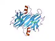 2gab: Human Transthyretin (TTR) Complexed with Hydroxylated polychlorinated Biphenyl-4-hydroxy-3,3',5,4'-tetrachlorobiphenyl