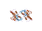 2gco: Crystal structure of the human RhoC-GppNHp complex