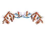 2gh0: Growth factor/receptor complex