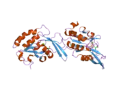 2ght: CTD-specific phosphatase Scp1 in complex with peptide from C-terminal domain of RNA polymerase II