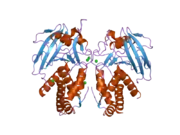 2gjt: Crystal structure of the human receptor phosphatase PTPRO