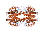 2gl8: Human Retinoic acid receptor RXR-gamma ligand-binding domain