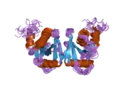 2gw6: NMR structure of the human tRNA endonuclease SEN15 subunit