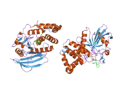 2h02: Structural studies of protein tyrosine phosphatase beta catalytic domain in complex with inhibitors