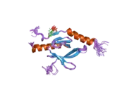 2h7d: Solution structure of the talin F3 domain in complex with a chimeric beta3 integrin-PIP kinase peptide