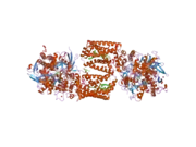 2h88: Avian Mitochondrial Respiratory Complex II at 1.8 Angstrom Resolution