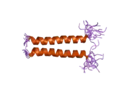 2hac: Structure of Zeta-Zeta Transmembrane Dimer