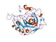 2hfx: Structural and kinetic analysis of proton shuttle residues in the active site of human carbonic anhydrase III