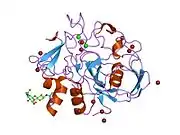2hi8: human formylglycine generating enzyme, C336S mutant, bromide co-crystallization