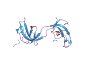 2hl3: Crystal structure of the A49M mutant CAP-Gly domain of human Dynactin-1 (p150-Glued) in complex with human EB1 C-terminal hexapeptide