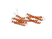 2hsq: Human vinculin (head domain, Vh1, residues 1-258) in complex with Shigella's IpaA vinculin binding site 2 (residues 565-587)