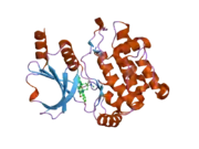 2hy8: PAK1 complex with ST2001