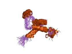 2hzd: NMR structure of the DNA-binding TEA domain and insights into TEF-1 function