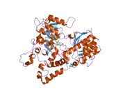 2hzp: Crystal Structure of Homo Sapiens Kynureninase