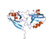 2i1n: Crystal structure of the 1st PDZ domain of Human DLG3