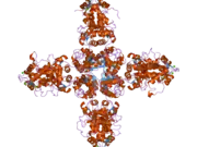 2i2r: Crystal structure of the KChIP1/Kv4.3 T1 complex