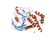 2i4g: Structural studies of protein tyrosine phosphatase beta catalytic domain in complex with a sulfamic acid (soaking experiment)