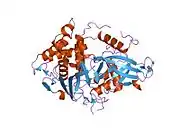 2ibi: Covalent Ubiquitin-USP2 Complex