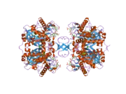 2ibw: Crystallographic and kinetic studies of human mitochondrial acetoacetyl-CoA thiolase (T2): the importance of potassium and chloride for its structure and function