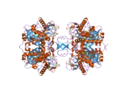 2iby: Crystallographic and kinetic studies of human mitochondrial acetoacetyl-CoA thiolase (T2): the importance of potassium and chloride for its structure and function