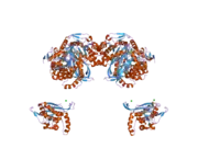 2ihw: Crystal structure of a cubic core of the dihydrolipoamide acyltransferase (E2b) component in the branched-chain alpha-ketoacid dehydrogenase complex (BCKDC), apo form