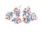 2j0h: L-FICOLIN COMPLEXED TO ACETYL-CHOLINE