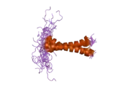 2j5d: NMR STRUCTURE OF BNIP3 TRANSMEMBRANE DOMAIN IN LIPID BICELLES