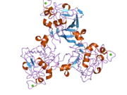 2j64: H-FICOLIN