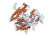 2jbk: MEMBRANE-BOUND GLUTAMATE CARBOXYPEPTIDASE II (GCPII) IN COMPLEX WITH QUISQUALIC ACID (QUISQUALATE, ALPHA-AMINO-3,5-DIOXO-1,2,4-OXADIAZOLIDINE-2-PROPANOIC ACID)