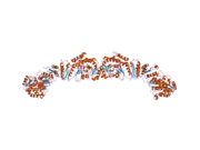 2jfk: STRUCTURE OF THE MAT DOMAIN OF HUMAN FAS WITH MALONYL-COA