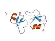 2nlf: Human beta-defensin-1 (Mutant Leu13Glu)