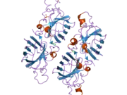 2nnx: Crystal Structure of the H46R, H48Q double mutant of human [Cu-Zn] Superoxide Dismutase