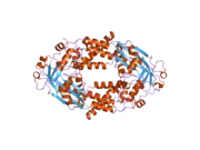 2o2k: Crystal Structure of the Activation Domain of Human Methionine Synthase Isoform/Mutant D963E/K1071N