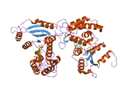 2o3q: Structural Basis for Formation and Hydrolysis of Calcium Messenger Cyclic ADP-ribose by Human CD38