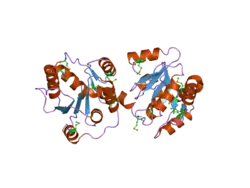 2o6l: Crystal Structure of the UDP-Glucuronic Acid Binding Domain of the Human Drug Metabolizing UDP-Glucuronosyltransferase 2B7