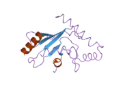 2ob4: Human Ubiquitin-Conjugating Enzyme CDC34