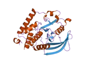 2oc3: Crystal Structure of the Catalytic Domain of Human Protein Tyrosine Phosphatase non-receptor Type 18