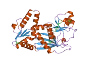 2odt: Structure of human Inositol 1,3,4-trisphosphate 5/6-kinase