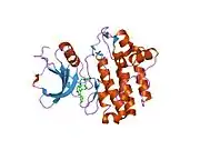2of2: crystal structure of furanopyrimidine 8 bound to lck