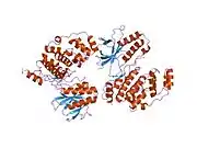 2okr: Crystal structure of the p38a-MAPKAP kinase 2 heterodimer