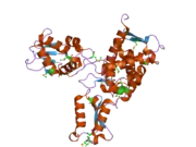 2oni: Catalytic Domain of the Human NEDD4-like E3 Ligase