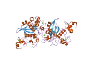 2oo4: Structure of LNR-HD (Negative Regulatory Region) from human Notch 2