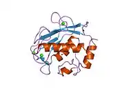 2oxu: Uninhibited form of human MMP-12