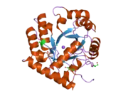 2p1f: Human UMP Synthase (C-terminal Domain-Orotidine 5'-Monophosphate Decarboxylase)